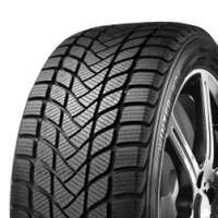 Delinte WD1 165/70R14 81T  Dubbfritt